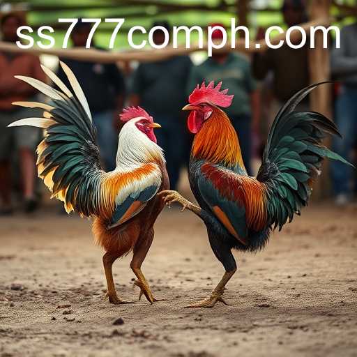Cockfighting